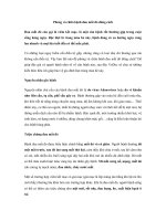 Tải Phòng và chữa bệnh đau mắt đỏ đúng cách - Cách phòng và chữa bệnh đau mắt đỏ