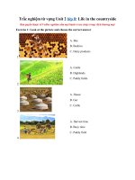 Tải Trắc nghiệm từ vựng Unit 2 lớp 8: Life in the countryside - Từ vựng tiếng Anh lớp 8 Unit 2 có đáp án