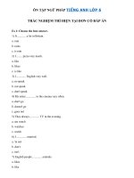 Tải Trắc nghiệm thì hiện tại đơn lớp 6 - Bài tập về Thì hiện tại đơn lớp 6 có đáp án