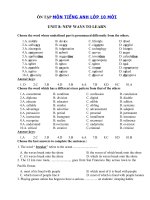 Tải Ôn tập Tiếng Anh lớp 10 Unit 8 New Ways To Learn - Bài tập Tiếng Anh lớp 10 theo từng Unit có đáp án