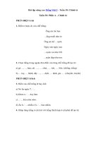 Tải Bài tập nâng cao Tiếng Việt 2 - Tuần 30: Chính tả - Bài tập chính tả nâng cao lớp 2 tập 2