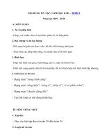 Tải Đề cương ôn tập học kì 2 lớp 5 năm 2019 - 2020 đầy đủ các môn - Nội dung ôn thi học kì 2 lớp 5