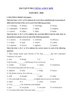 03) - Ôn tập tiếng Anh lớp 9 giữa học kì 2 có đáp án