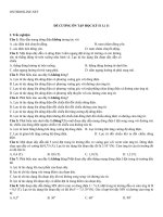 Download Đề cương ôn tập HK 2 môn Vật lý lớp 11