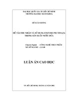 Thu nhận và sử dụng enzyme pectinaza trong sản xuất nước dứa  