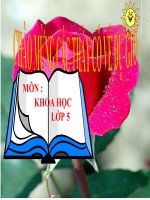 Khoa học  5 - Tuần 12 - 5A1- Thanh Tâm: Sắt, gang, thép