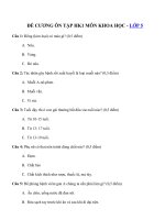 Tải Đề cương ôn tập học kì 1 môn Khoa học lớp 5 năm 2019 - 2020 - Tài liệu ôn tập học kì 1 môn Khoa học lớp 5