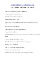 Tải 100 câu trắc nghiệm Từ trái nghĩa có đáp án ôn thi THPT Quốc gia 2020 cơ bản phần 3 - Luyện thi THPT Quốc Gia 2020 môn Tiếng Anh có đáp án