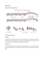 NỘI DUNG BÀI HỌC MÔN THỂ DỤC 8 - TUẦN 22 (2020-2021)