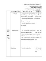 Giáo án tuần 31 :Mùa Hè : Năm học 2019 - 2020