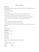 Tải Soạn bài lớp 6: Chương trình địa phương (phần Tiếng Việt) rèn luyện chính tả - Để học tốt Ngữ văn lớp 6