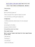 Tải Unit 3 lớp 9 Project - Soạn tiếng Anh 9 Unit 3 Project | Giải bài tập SGK tiếng Anh 9 mới Unit 3