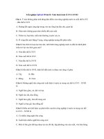 Tải Trắc nghiệm Lịch sử 10 bài 22: Tình hình kinh tế XVI-XVIII - Trắc nghiệm Lịch sử 10 bài 22 có đáp án