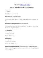 Tải Ngữ pháp tiếng Anh lớp 10 Unit 9: Preserving The Environment - Ôn tập ngữ pháp Tiếng Anh lớp 10 theo từng Unit