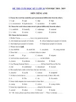 Tải Đề thi môn Tiếng Anh lớp 10 học kì 2 có đáp án năm học 2018 - 2019 số 1 - Đề thi học kì 2 lớp 10 môn Tiếng Anh có đáp án