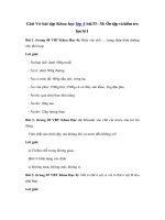 Tải Giải Vở bài tập Khoa học 4 bài 33 - 34: Ôn tập và kiểm tra học kì 1 - Giải sách bài tập Khoa học lớp 4 tập 1