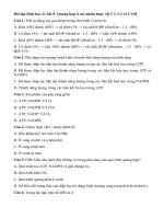 Tải Trắc nghiệm Sinh học lớp 11 bài 9 - Sinh học 11 bài 9: Quang hợp ở các nhóm thực vật C3, C4 và CAM