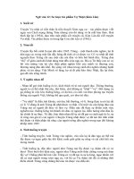 Tải Sơ lược tác phẩm Vợ Nhặt (Kim Lân) - Ngữ văn lớp 12