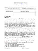 Tải Đề thi giữa kì 1 lớp 5 môn Tiếng Việt năm 2020 - 2021 - Đề 2 - Đề thi Tiếng Việt lớp 5 giữa kì 1 Có đáp án