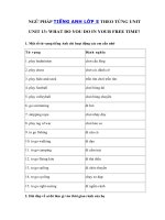 Tải Ngữ pháp tiếng Anh lớp 5 Unit 13 What do you do in your free time? - Tiếng Anh 5 Unit 13 What do you do in your free time?| Ngữ pháp Unit 13 SGK tiếng Anh lớp 5 mới