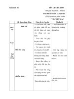 Giáo án Tuần 8. Ngôi nhà của bé