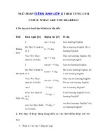 Tải Ngữ pháp tiếng Anh lớp 5 Unit 8: What are you reading? - Tiếng Anh 5 Unit 8 What are you reading?| Ngữ pháp Unit 8 SGK tiếng Anh lớp 5 mới