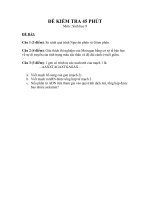 Download Đề kiểm tra 4 5phut sinh học lớp 9