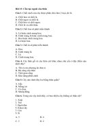 Tải Trắc nghiệm Sinh học 6 bài 13 - Cấu tạo ngoài của thân