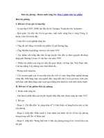 Tải Hai cây phong - Hoàn cảnh sáng tác, Dàn ý phân tích tác phẩm - Tác giả tác phẩm lớp 8 Hai cây phong