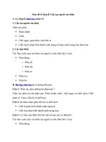 Tải Lý thuyết Sinh học lớp 6 bài 13 - Cấu tạo ngoài của thân