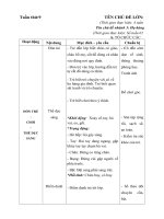 giáo án tuần 9 chủ đề gia đình nhánh 3 Họ hàng của bé