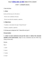 Tải Tiếng Anh 10 Unit 7: Looking back - Soạn Tiếng Anh lớp 10 Unit 7 Cultural Diversity trang 24 25