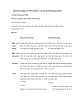 Tải Giải Toán lớp 5 VNEN bài 81: Em ôn lại những gì đã học - Giải bài tập Toán lớp 5