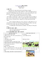 Tải Giáo án Tự nhiên xã hội 3 bài 53: Thú - Giáo án điện tử môn Tự nhiên xã hội lớp 3