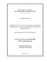 Nghiên cứu các yếu tố ảnh hưởng đến hàm lượng gaba và amylase trong quá trình nảy mầm gạo lứt