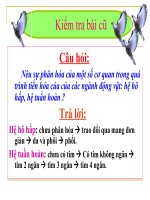 Sinh 7_Tuần 31_Tiết 58_Bài 55 Tiến hóa về sinh sản_Ngô Thùy Chi