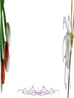 Từ đồng nghĩa_GV Nguyễn Thị Lan Anh