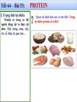 Tuan  32 - Hoa 9 - Bai 53 Protein (1) - Ngo Thi Huyen Ngoc
