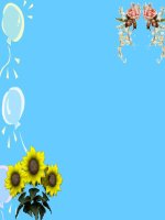 Tuần  13 TĐ: Trồng rừng ngập mặn