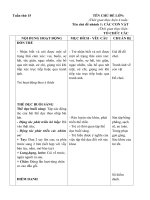 Giáo án tuần 15 chủ đề 