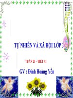 TNXH lớp 3- tuần 21- Bài Thân cây