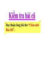 Lớp 2 - Tập đọc - Tuần 31: Chiếc rễ đa tròn