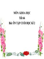 TUẦN 31 -KH 4 - ÔN TẬP CUỐI HỌC KÌ 2
