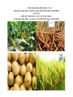 giáo án chủ đề thế giới thực vật tuần 26 tuần chính nhánh 4