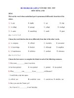 Tải Bộ đề ôn thi học kì 1 lớp 12 môn Tiếng Anh năm học 2018 - 2019 - 9 đề kiểm tra môn Tiếng Anh lớp 12 học kì 1 có đáp án