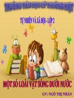 Tự nhiên xã hội 2: Bài 29: Một số loài vật sống dưới nước