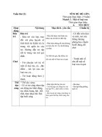 giáo án tuần 22 chủ đề TGTV nhánh 2 các loại rau