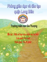 Khám phá một số loại rau mà bé biết