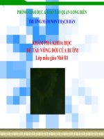 Vòng đời phát triển của bướm