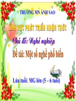 Hoạt động khám phá xã hội: Một số nghề phổ biến - Mẫu giáo lớn (5 - 6 tuổi)